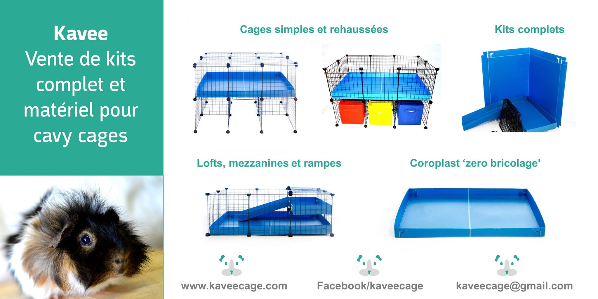 cavy cage
