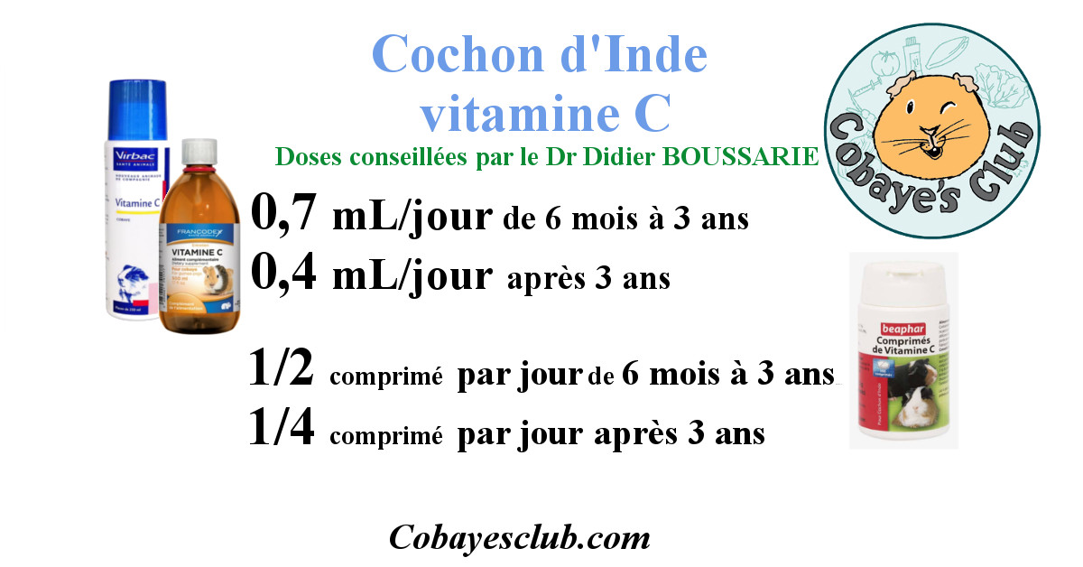 Vitamine C doses pour la supplémentation du cochon d'Inde